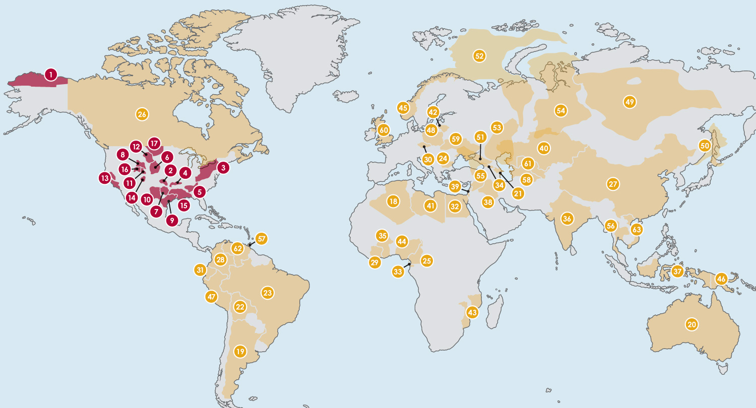 Global Experience Map